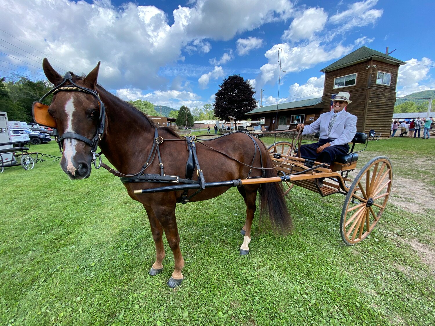 Joseph Hafele, Walton, took home the Driving Pony Reserve Champion title in Sunday’s competition at the 136th annual Delaware County Fair, Aug. 13.